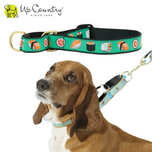 p  n[t`[N [i] Ȃ ɂ  h~ g[jO h~ 蔲h~   ^ ^ ^ Up Country AbvJg[