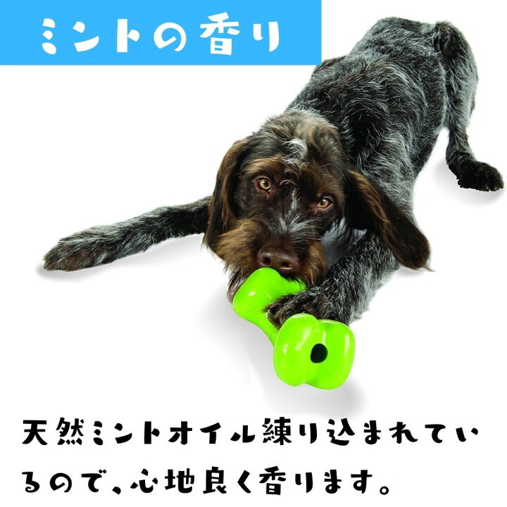 楽天市場 クリアランス30 オフ 犬用 噛むおもちゃ 不思議な感触の骨型 タフボーン Mサイズ 小型犬 中型犬 大型犬 Orbee Tuff オービー Planet Dog プラネットドッグ 丈夫 可愛い ピンク ブルー グリーン オジコペット