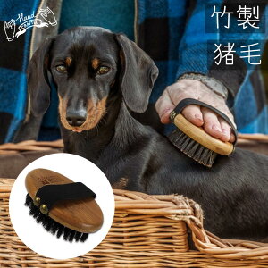 犬用 猫用 ブラシ 短毛 長毛 抜け毛 猪毛 天然毛 イノシシ毛 竹製 木製 ペット用 艶出し Bamboo Groom (バンブーグルーム)