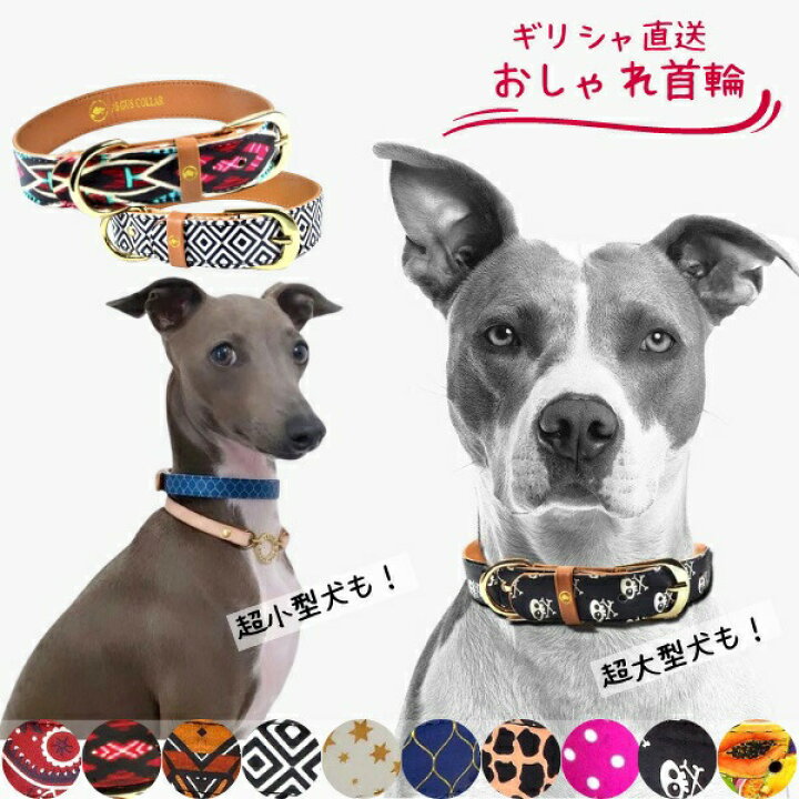 楽天市場 首輪単品 犬用 首輪 ブレスレット おしゃれ かわいい やわらかい 痛くない ビーガンレザー 大型犬 中型犬 小型犬 超小型犬 超大型犬 プレゼント 贈り物 かっこいい アルゴスカラー ブランド オジコペット