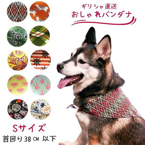 [NAXi]ArgusCollar (ASXJ[) p o_i  悾ꂩ MVuh (STCY (: 38cm)  XJ[t ^ ^ uh 킢