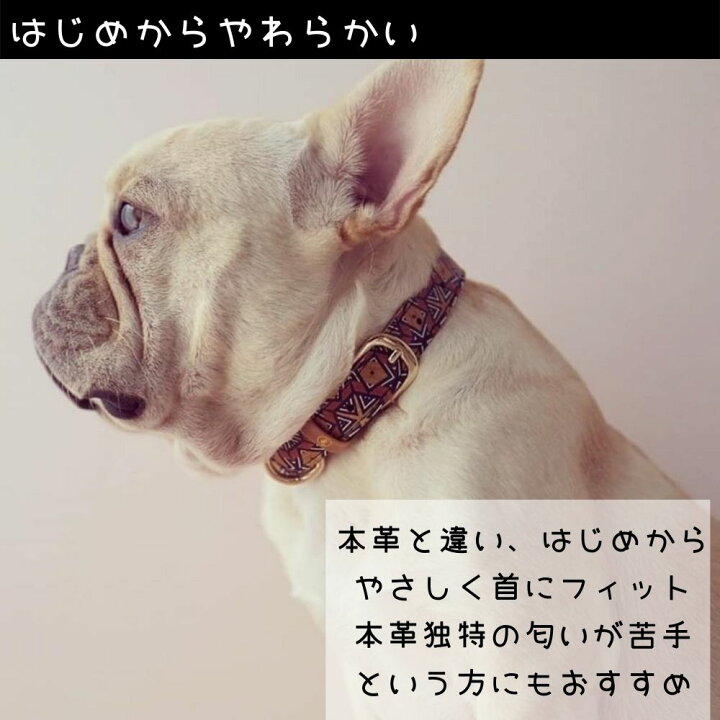 楽天市場 犬用 首輪 ブレスレット セット販売 犬とおそろい ペアリング おしゃれ かわいい やわらかい 痛くない ビーガンレザー 送料無料 大型犬 中型犬 小型犬 超小型犬 超大型犬 犬の首輪 ブランド プレゼント 贈り物 かっこいい オシャレ アルゴスカラー オジコペット