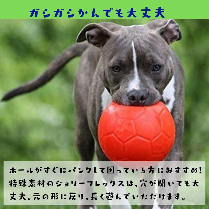 楽天市場 サッカーボール Lサイズ Jolly Soccer Ball犬用 ボール おもちゃ 壊れない 頑丈 丈夫 噛むおもちゃジョリーボール ジョリーペットjolly Pets 大型犬 中型犬 弾む 水に浮く オレンジ ブルー グリーン オジコペット