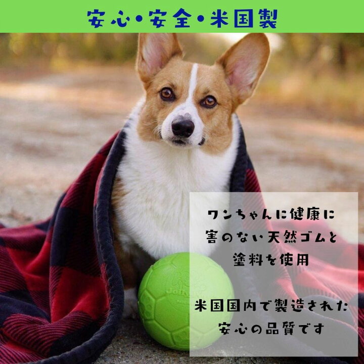 楽天市場 Jollypets2点で500円オフ サッカーボール Lサイズ Jolly Soccer Ball犬用 ボール おもちゃ 壊れない 頑丈 丈夫 噛むおもちゃジョリーボール ジョリーペットjolly Pets 大型犬 中型犬 弾む 水に浮く オレンジ ブルー グリーン オジコペット