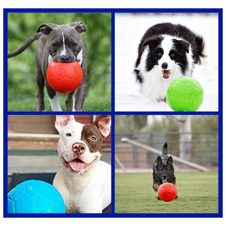 楽天市場 Jollypets2点で500円オフ サッカーボール 6インチ 15 2cm Jolly Soccer Ball犬用 ボール おもちゃ 壊れない 頑丈 丈夫 噛むおもちゃジョリーボール ジョリーペットjolly Pets オジコペット