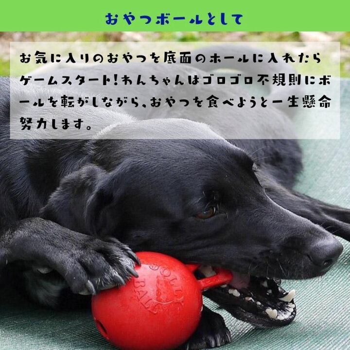 楽天市場 パンクしない 犬用 ボール タグ トス Mini Xxs 丈夫 頑丈 長持ち トリーツボール おやつボール ゴムボール 取っ手付き オジコペット