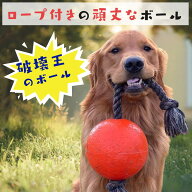 犬用 ボール 丈夫 紐付き 大きめ パンクしない 壊れない Jolly Pets ジョリーペット Romp-n-Roll ロンプ…