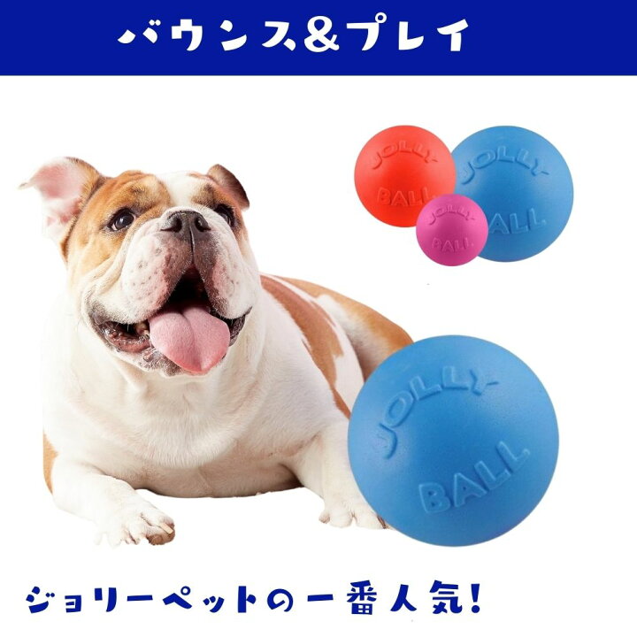 楽天市場 Jollypets2点で500円off 犬用 ボール Lサイズ Teaser Ball ティーザーボール 犬用 ボール おもちゃ Jolly Pets ジョリーペットジョリーボール 知育玩具 大型犬 中型犬 人気 丈夫 飽きない 知育トイ ブルー パープル レッド オジコペット