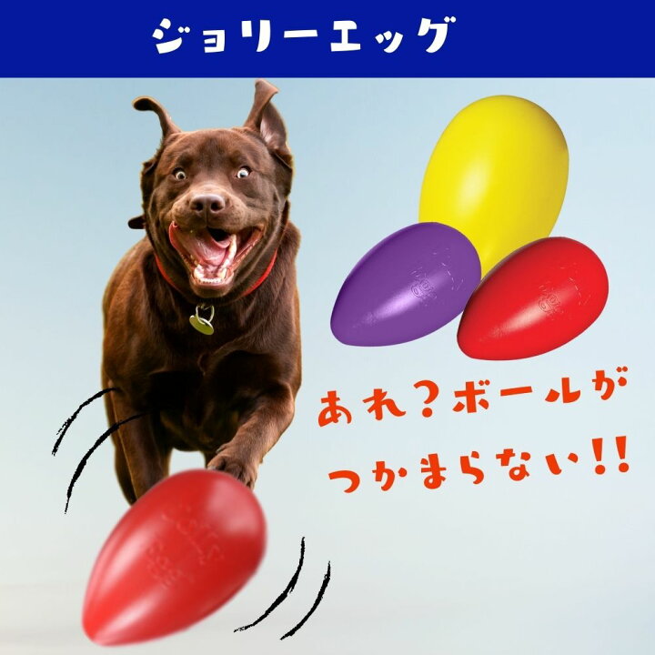 楽天市場 犬用 ボール 丈夫 紐付き Sサイズ 小さめ パンクしない 壊れない Jolly Pets ジョリーペット Romp N Roll ロンプンロール ジョリーボール ロープ おもちゃ ジョリーペット 投げるおもちゃ 噛むおもちゃ 弾む 小型犬 中型犬 送料無料 オジコペット