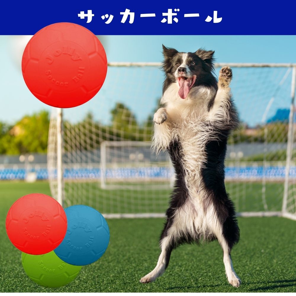 楽天市場】犬用 ボール ジョリーボール タグアンドトス [L] もってこい 