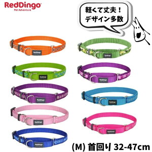 p  n[t`[N (fUC) MTCY Ȃ ɂ  h~ h~ ^ ^ Reddingo bhfBS v~A