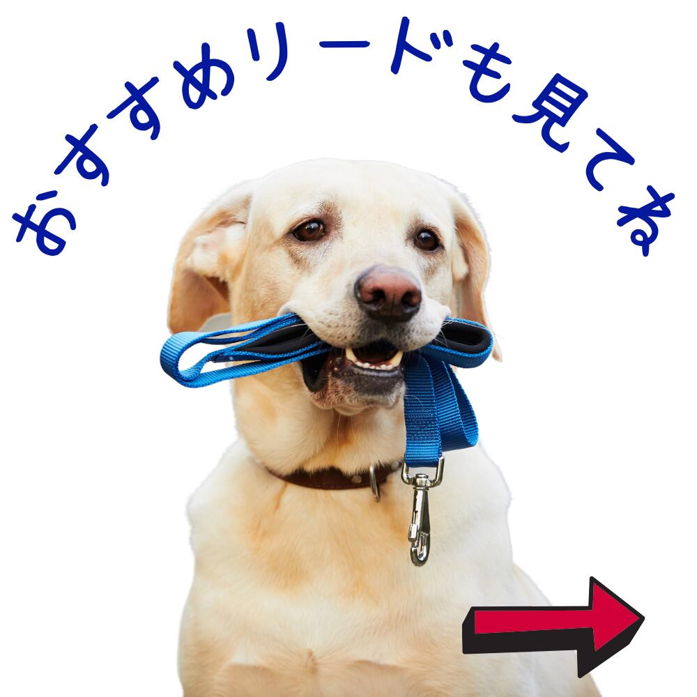 楽天市場】犬用 ハーネス Comfortflex コンフォートフレックス (L XL