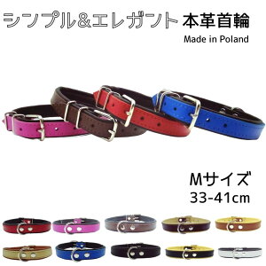 p  {v v U[ 炩 ɂȂ ㎿  Jo Zooleszcz ][V` bh sN uE L u[ ubN zCg x[W ^ ^ [MTCY][899]