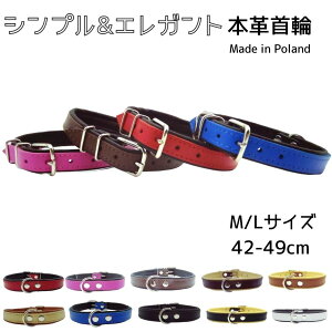 p  {v v U[ 炩 ɂȂ ㎿  Jo Zooleszcz ][V` bh sN uE L u[ ubN zCg x[W ^ ^ [M/LTCY][900