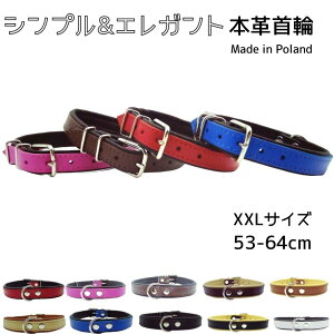 p  {v v U[ 炩 ɂȂ ㎿  Jo Zooleszcz ][V` bh sN uE L u[ ubN zCg x[W ^ ^[XXLTCY][9