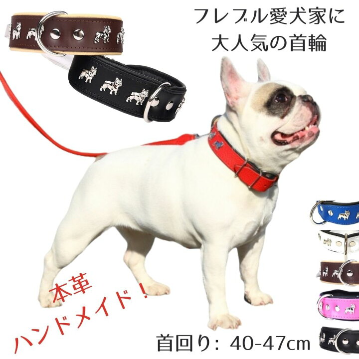 楽天市場】ZOOleszcz (ゾーレシチ) 犬用 首輪 (首回り: 40-47cm / 幅 