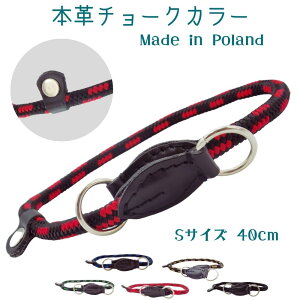 `[NJ[ XbvJ[i40cm)@[_[EH[N p h~  U[ [vy358z][V` ZOOleszcz