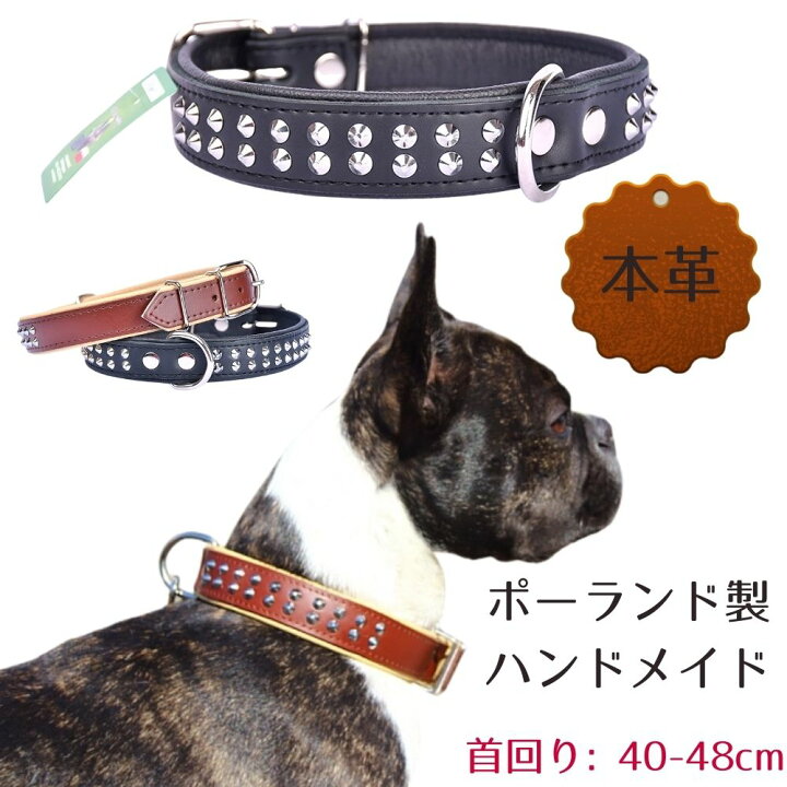 楽天市場 Zooleszcz ゾーレシチ 犬用 首輪 首回り 40 48cm 幅 3cm スパイク スタッド スタッズ ２連 革製 本革 レザー ポーランド製 764 オジコペット