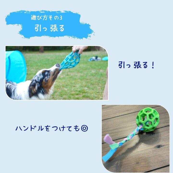 Jw Pet 犬用おもちゃ ホーリーローラーボール Company