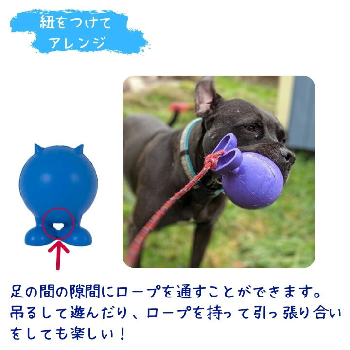 楽天市場 Jwpet2点購入で15 Offクーポン ユニークなシェイプの犬用 ボール 天然ゴム 音がなる スクイーカー 丈夫 かわいい 天使ちゃん 悪魔ちゃん Good Cuz Bad Cuz グッドキューズ バッドキューズ パープル ブルー レッド グリーン ピンク スカイブルー 中型犬