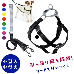  h~ n[lX p [n[lX&[hZbg] ^/^ mvEt[_n[lX 2 Hounds design/2nEhfUC