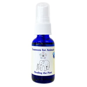 �q�[�����O�U�p�X�g�X�v���[[Healing the Past]�w�ߋ�������x(30ml)�p�V�t�B�b�N�G�b�Z���X�t�����[�G�b�Z���X �t�����[�����f�B�[