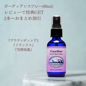 K[fBAXv[ 60ml Guardian Spray AXJGbZX veNV ԏ bNX OEfBO dg΍ GlM[h oE_[   VRt