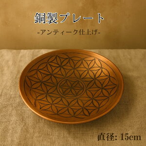   M v[g pTg 󂯎M   pTgz_[ F pTg nhCh t[IuCt p[Xg[ 