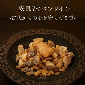 [v~AO[h] S[f x]C X}gY   VR 100 F Â oj nj[ XpCV[   ی@ґz bNX q[O  ChlVA 