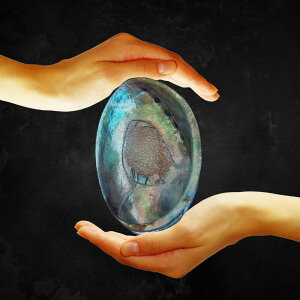 AoVFz_[  L F   pTg 󂯎M pTgz_[ F zCgZ[W  傫 