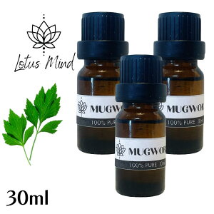 M  MIC GbZVIC I[KjbN VR GWvgY  n[u a    MIC