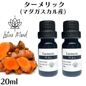 ターメリック 精油 エッセンシャルオイル 天然 ウコン スパイス 漢方 ロータスマインド アロマオイル