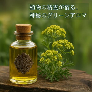 Koi O[m[g  GbZVIC OEfBO VR CY A} n[u A[V[