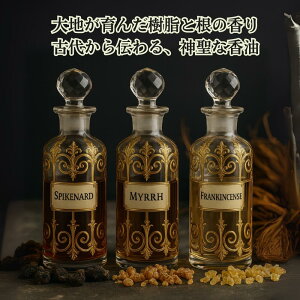 XpCNi[h tLZX XpCNi[h Ï JVE ih̍  v  GbZVIC ґz bNX VR {