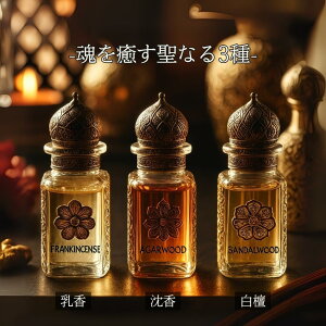  tLZX  AK[Ebh h T_Ebh  GbZVIC I[KjbN VR  n[u    [^X}Ch