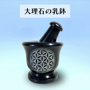 XpCXO_[ [ 嗝 / ̉ ] t[IuCt n[u `C J[ Ό   蔫 XpCX~ 