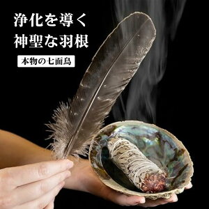 VRʒ̉H ̉H X}bWO pTg zCgZ[W lCeBuCfBA  h[Lb`[