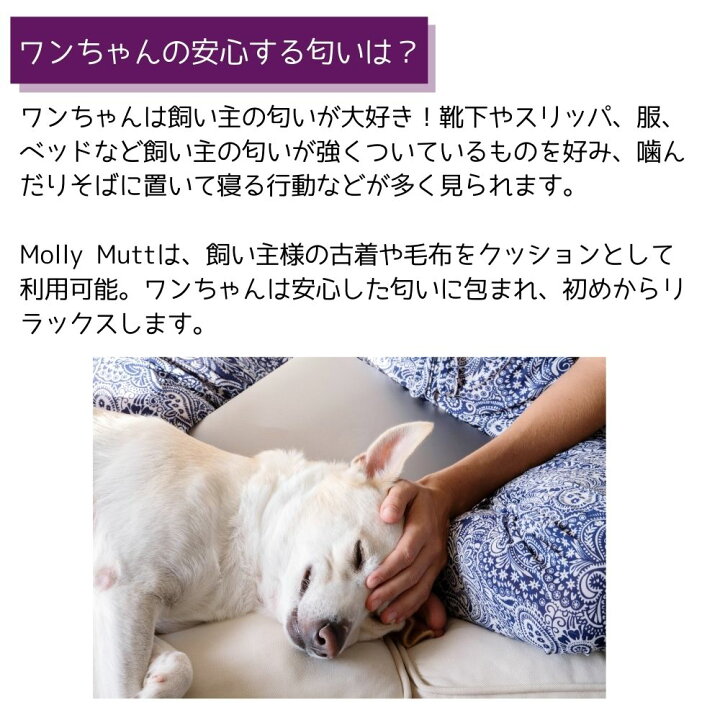 素敵でユニークな Molly Mutt モリーマット 犬用ベッド 専用スタッフサック 中型犬 大型犬 ラージ Shipsctc Org 素敵でユニークな Molly Mutt モリーマット 犬用ベッド 専用スタッフサック 中型犬 大型犬 ラージ Shipsctc Org