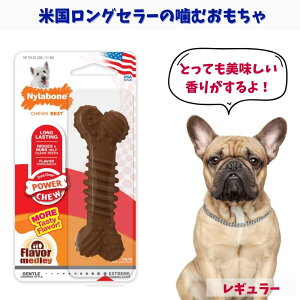 [NAXi] Nylabone iC{[ p ނ ^ {[ [p[`[] h[ s XgX  `Lt[o[ M[ NCF302P