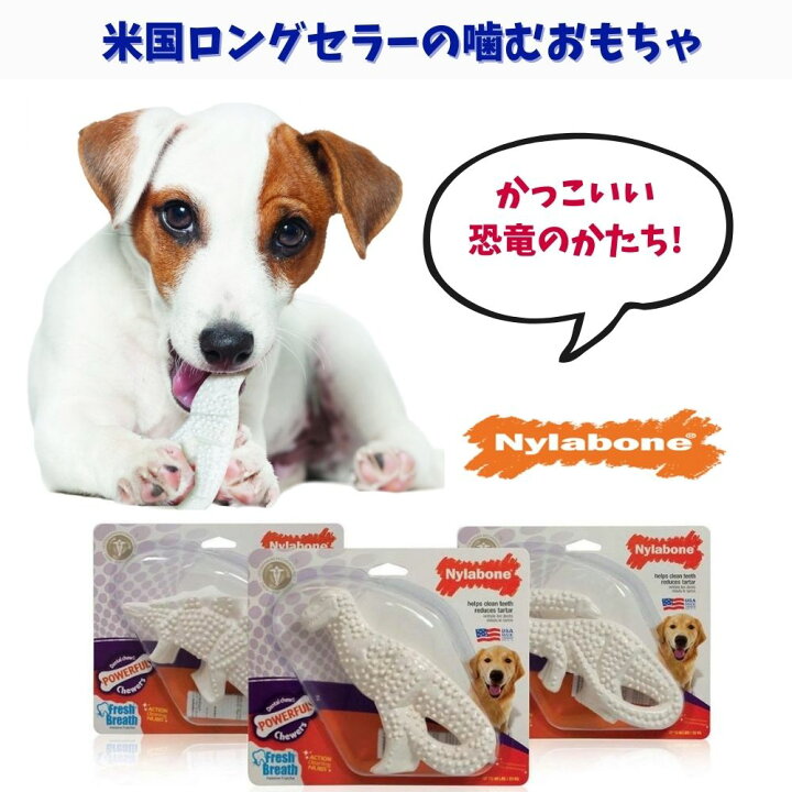ナイラボーン2点300円オフ 3点800円オフ ナイラボーン Nylabone 噛むおもちゃ 骨型 犬用 ボーン ナイラボーン2点300円オフ 3点800円オフ ナイラボーン Nylabone 噛むおもちゃ 骨型 犬用 ボーン