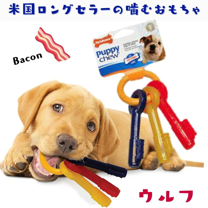 楽天市場 ナイラボーン2点300円オフ 3点800円オフ Nylabone ナイラボーン 鍵型 犬用 噛むおもちゃ 骨型 ボーン パピーチュー 不安 ストレス 解消 ベーコンフレーバー ウルフ N221p オジコペット