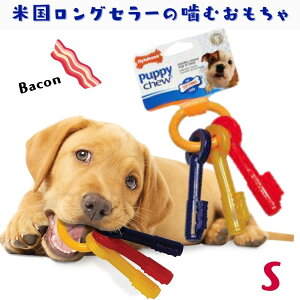 Nylabone iC{[ ^ p ނ ^ {[ ps[`[ s XgX  x[Rt[o[ [STCY] N220P