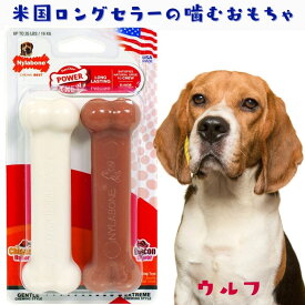 [クリアランス価格] Nylabone ナイラボーン 2本セット 骨型 犬用 噛むおもちゃ パワーチュー 不安 ストレス 解消 ベーコンフレーバー NVD003VP