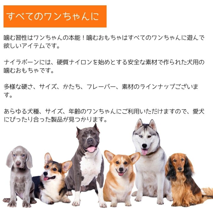 楽天市場 2点で10 オフクーポン Nylabone ナイラボーン 犬用 噛むおもちゃ 骨型 ボーン パワーチュー Big Chew Turkey チキンフレーバー 不安 ストレス 解消 中型犬 大型犬 Nbc102p オジコペット