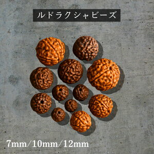 hNV r[Y 10Zbg VRf 8mm 10mm 12mm o F ICdグ ґz    p[c nhCh