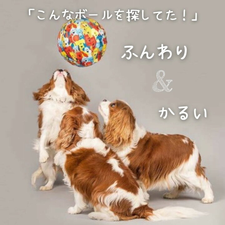 楽天市場 割れても大丈夫 ドッグバルーン 犬用風船 ボール 犬のおもちゃ 軽い やわらかい ソフト Dadway ダッドウェイ 小型犬 中型犬 大型犬 オジコペット 楽天市場 割れても大丈夫 ドッグバルーン 犬用風船 ボール 犬のおもちゃ 軽い やわらかい ソフト Dadway ダッドウェイ 小型犬 中型犬 大型犬 オジコペット