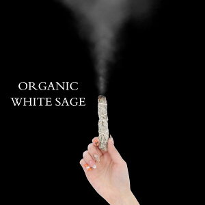 zCgZ[W  I[KjbN Z[W XeBbN oh h  _ 򉻗p X^Cv 悭