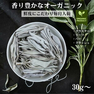 zCgZ[W I[KjbN  JtHjA   NX^[ } o[ s {