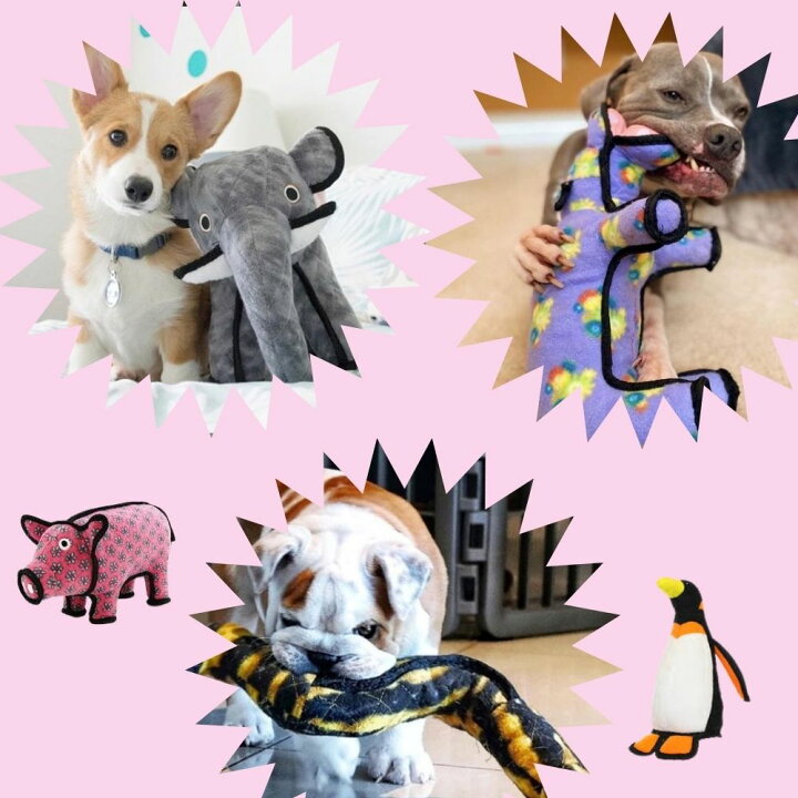 楽天市場 Tuffys Mighty2点500円オフ 3点1000円オフ タフィーズ アリゲーター レギュラー 犬用 おもちゃ ぬいぐるみ 丈夫 長持ち 頑丈 丈夫 犬のおもちゃ Tuffy S 耐久度5 オジコペット