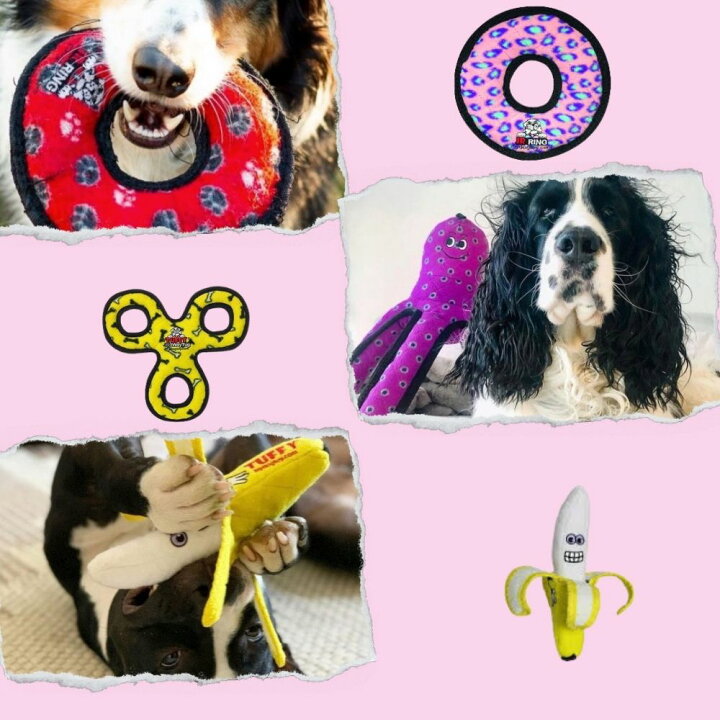 楽天市場 ジュニアリング 犬用 おもちゃ ぬいぐるみ 丈夫で長持ち 犬のおもちゃ 頑丈 Tuffys Tuffy S タフィーズ レッド イエロー ブルー ピンク 音が鳴る 送料無料 耐久度9 オジコペット